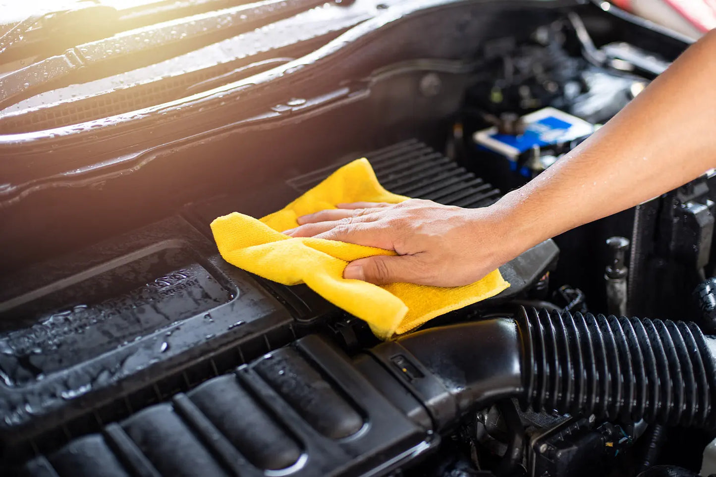 Interior and exterior engine shampoo